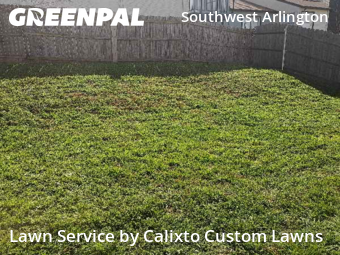 Lawn mowed in Arlington, 76013