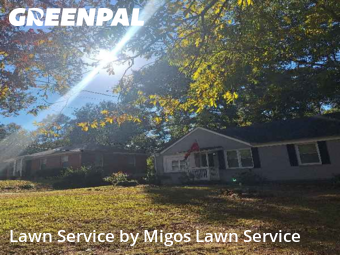 Yard Services in Decatur, 30032, Lawn Cutting by Migos Lawn Service, work completed in Nov , 2025