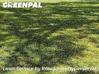 Lawn Mow nearby Fort Smith, AR, 