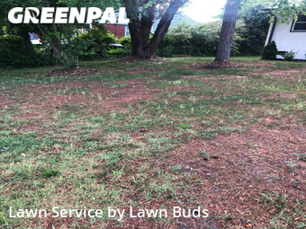 Lawn Mowing Service nearby Charlotte, NC, 