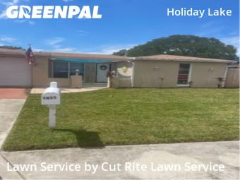 Lawn Maintenance nearby Holiday, FL, 