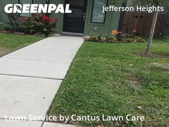 Lawn Care nearby San Antonio, TX, 