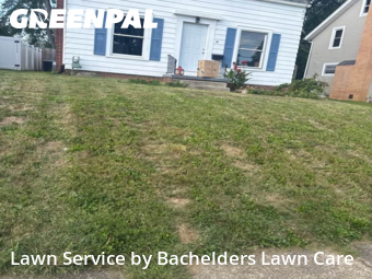 Yard Cutting nearby Mansfield, OH, 