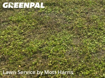 Lawn Care nearby Pompano Beach, FL, 