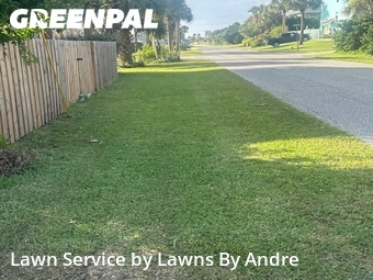 Grass Cut nearby Flagler Beach, FL, 