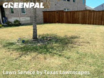 Lawn Mowing nearby The Colony, TX, 