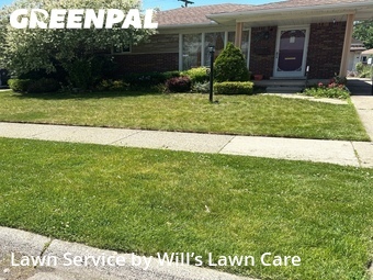 Grass Cut nearby Eastpointe, MI, 