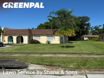 Grass Cutting nearby Seminole, FL, 