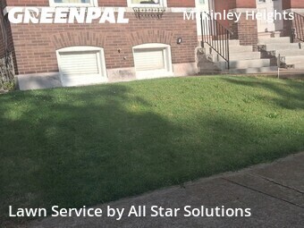 Lawn Care Service nearby St. Louis, IL, 