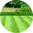 residential-lawn-cutting-businesses-in-Worcester-MA