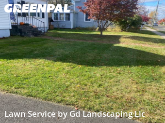 Yard Care in Windsor, 6095, Backyard Mowing by Gd Landscaping Llc, work completed in Nov , 2025