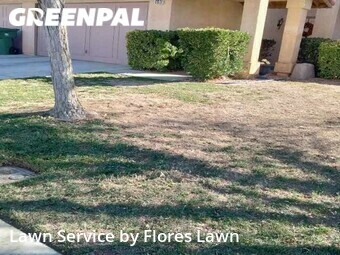 Yard Mowing nearby Lancaster, CA, 