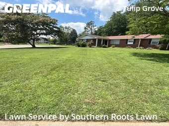 Grass Cutting nearby Nashville, TN, 