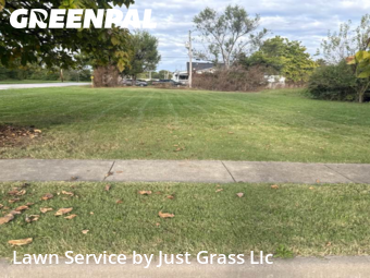 Yard Mowing in East St. Louis, 62205, Grass Services by Just Grass Llc, work completed in Nov , 2025