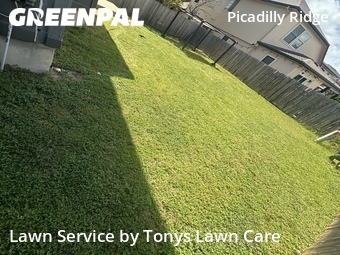 Lawn Mow nearby Pflugerville, TX, 