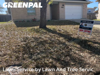 Yard Cutting nearby San Antonio, TX, 