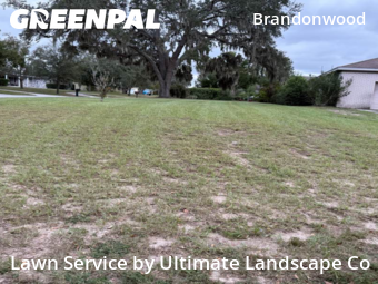 Yard Mowingin Brandon,33510,Lawn Care by Ultimate Landscape Co, work completed in Oct , 2025