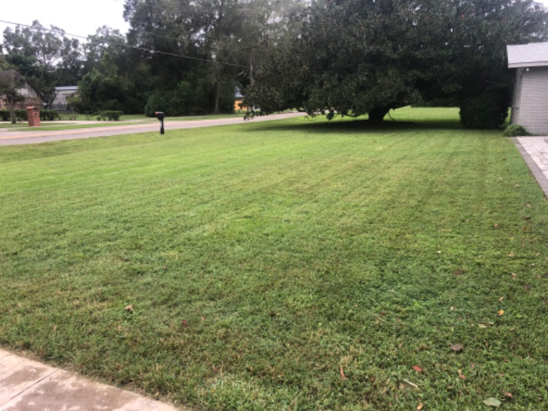 Lawn Mowing Contractor in Ocala, FL, 34472