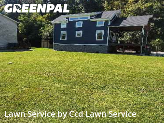 Grass Cut nearby Pigeon Forge, NC, 