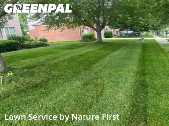Lawn Cut nearby Carmel, IN, 