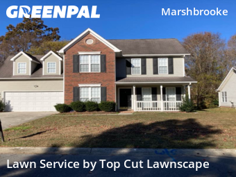 Grass Cutting nearby Matthews, NC, 