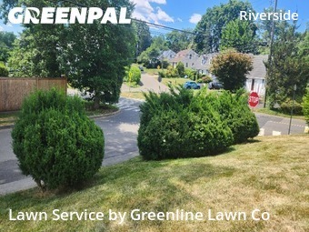 Lawn mowed in Greenwich, 6878