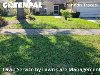 Lawn Mow nearby Brandon, FL, 