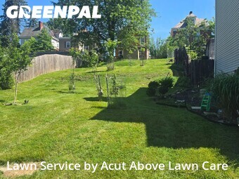 Lawn Cut nearby Ross Township, PA, 