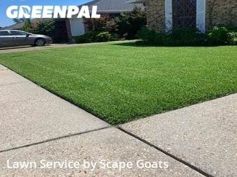 Lawn mowed in Harvey, 70058