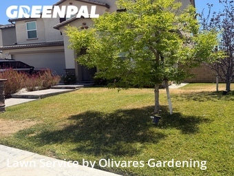 Lawn Care Service nearby Santa Clarita, CA, 
