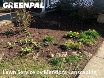 Lawn Cutting nearby Silver Spring, MD, 