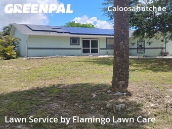 Lawn mowed in Cape Coral, 33904