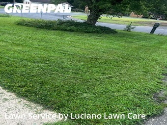 Yard Cutting nearby Gastonia, NC, 