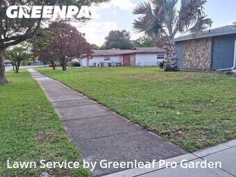 Grass Cutting nearby Orlando, FL, 