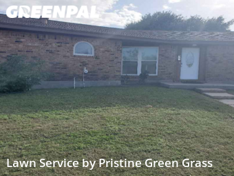 Lawn Cut nearby Galveston, TX, 