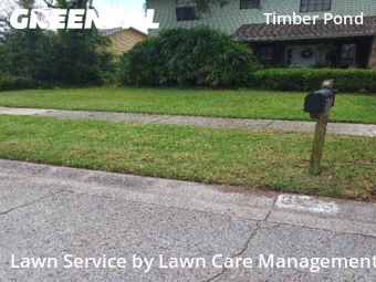 Lawn Mowing Service nearby Brandon, FL, 