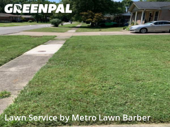 Lawn Cut nearby Louisville, KY, 