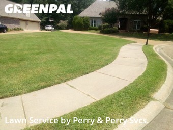 Grass Cut nearby Madison, MS, 