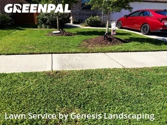 Lawn Cut nearby Atascocita, TX, 