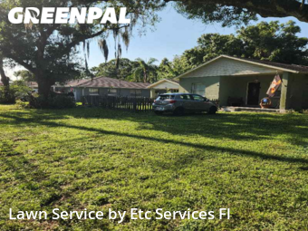 Lawn Care Service nearby Tampa, FL, 