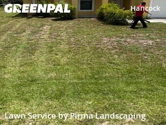 Grass Cut nearby Cape Coral, FL, 