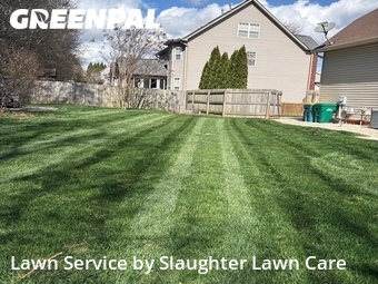 Yard Cutting nearby Knoxville, TN, 