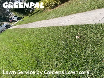 Lawn mowed in Royal Palm Beach, 33411