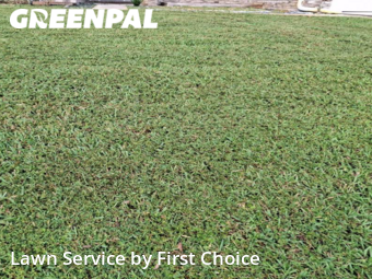 Lawn Mow nearby Palm Coast, FL, 