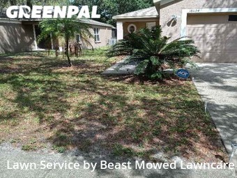 Yard Mowing nearby Tampa, FL, 