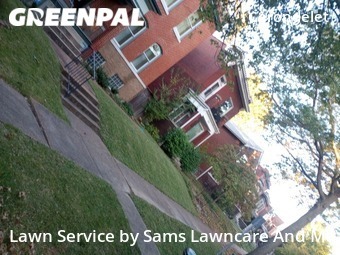 Grass Cutting nearby St. Louis, IL, 