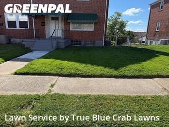 Lawn Care nearby Dundalk, MD, 