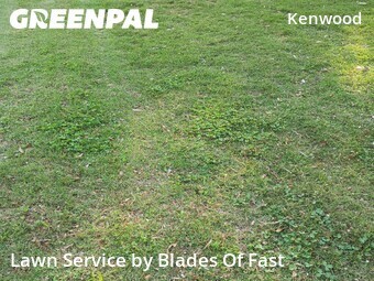 Lawn Mowing Service nearby Smyrna, GA, 