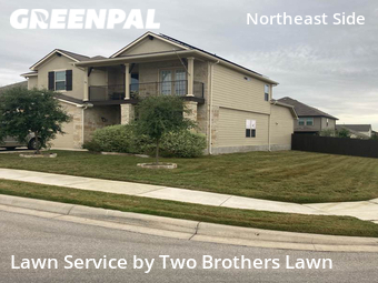 Lawn Cut nearby Schertz, TX, 