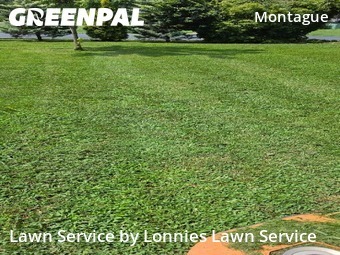 Lawn Cutting nearby Nashville Davidson, TN, 